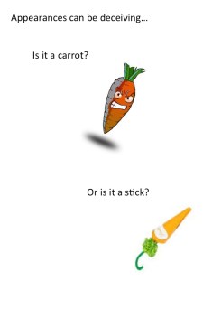 carrots